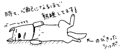 熟睡