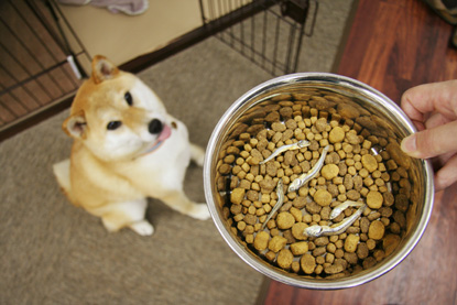 ͂摜